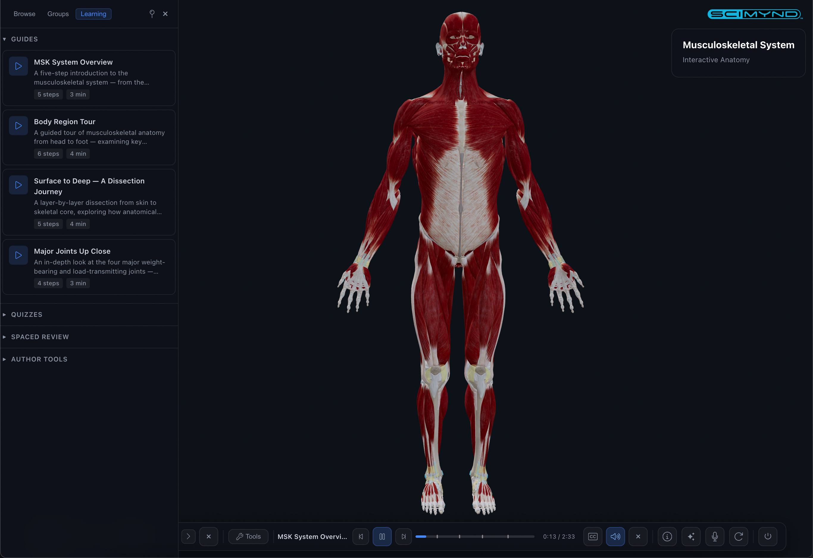 3D Anatomy Viewer